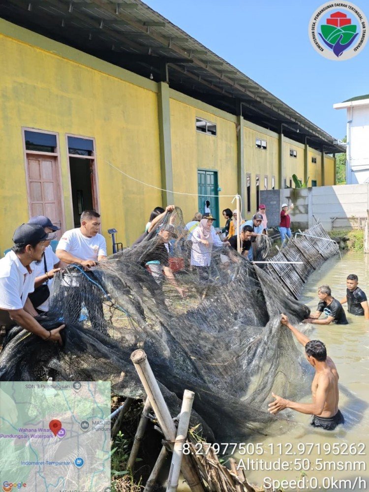 Panen perdana nila BUMDes Sumber Rejeki